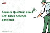 Common Questions About Pest Tubes Services Answered