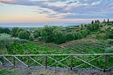 The Best Wine Tasting Tours in Sicily