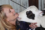 Woman being licked by a calf — vegan or plant milks