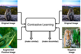 Contrastive Self-Supervised Learning Techniques