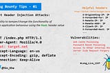 Bug Bounty Short Tips as image (UPDATED)