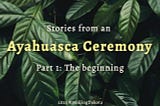 Stories from an Ayahuasca Ceremony — Part 1: The beginning