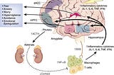 Trauma, Inflammation, and Plants