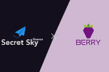 Secret Sky Finance and Berry Data Will Work Together on Messaging Exploration