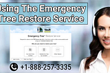 Using The Emergency Tree Restore Service