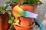 A rainbow internal reproductive system hanging from a plant pot.