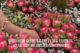 Shot! Leon Kluge’s Cape Flora exhibit at the 2024 RHS Chelsea Flower Show