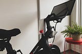 My 4 Months With the Peloton Bike