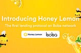 HoneyLemon Finance Introduction