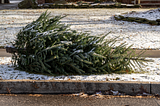 A Christmas tree on the curb for garbage pickup.