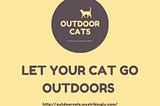 Dos and don’ts of training your cats to become outdoor cats