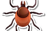 Why Professional Bed Bug Control Service in Noida Works Better Than DIY Solutions
