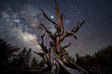 Stargazing Through the Lens: A guide to shoot milky way