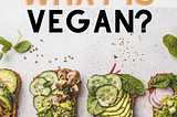 What is VEGAN? Explained in the simplest way possible.