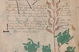 The Voynich manuscript reveals its secrets.