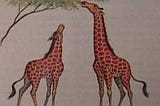 Giraffes’ necks are lengthened for reaching leaves