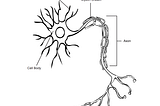 The Science Behind Depression