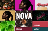 NOVA: A Modern Publication for the Sexy Nerd