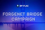 BP-FLAC Bridge Campaign