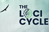 Loci Cycle Course Review: The Program With Which Building A Profitable Side Hustle Is As Simple As…