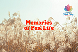 Where to Find the Best Past Life Regression Therapists in Mumbai?