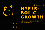 Floki DAO Hyperbolic Growth Strategy