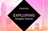 Exploring the MANTRA Chain Hongbai Testnet: A Comprehensive Overview