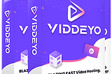 Viddeyo Review