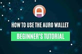 How To Use The Auro Wallet