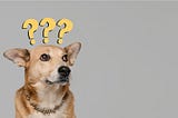 When a Celebrity Says ‘Buy This’ — Do You Actually Trust It?