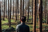 Photo of the back of a man looking through a forest of tress at a lake.