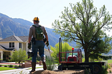 Tree Service Provo UT 84601