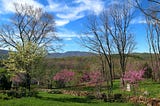 Behind the Landscape