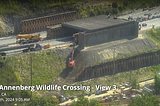 Bridge for wildlife crossing.