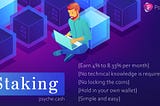 Create a Decent Source of Income by Staking with Psyche Coin