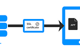 Security in iOS Apps: Transport Layer