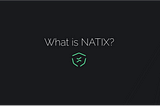 What is NATIX?
