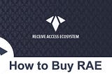 Buy RAE Tokens like a Pro