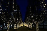 a walkway shouldered by trees lit up with yellow lights