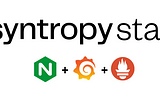 SyntropyStack — UI — Monitoring solution with Grafana, Prometheus, Node_exporter and Nginx — Part 1