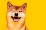 Introducing $SHIB, the newcomer in the crypto block, affectionately known as the “Dogekiller.”