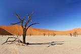 Les arguments secrets que nous utilisons pour nous rassurer sur le réchauffement climatique (et…