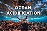 Ocean Acidification: