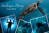 Andaman scuba diving underwater diver images with marine life and a turtle