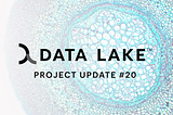 Project Update #20 — Q2 2024