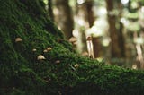 Impact measurement in systemic investing: building dialogue and collaboration across sectors and…