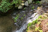 Earth & Us: Celebrating Clean Water