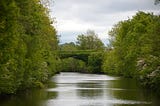 With nitrogen levels increasing in rivers, what will it mean for our fishing?