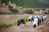 Best Yoga Retreats In India