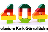 Selenium Kırık Görsel Bulma